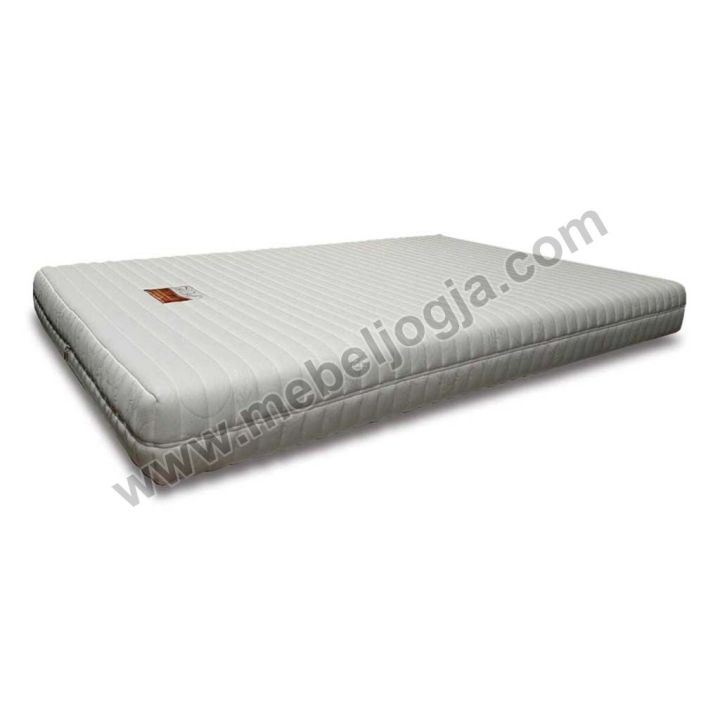 Kasur Busa Ever Bed Premium - 100 x 200 x 22 cm